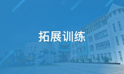 青島比鄰奈爾企業(yè)管理咨詢及旗下淘學培訓服務的綜合評析