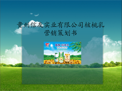 核桃乳市場(chǎng)營銷策劃方案
